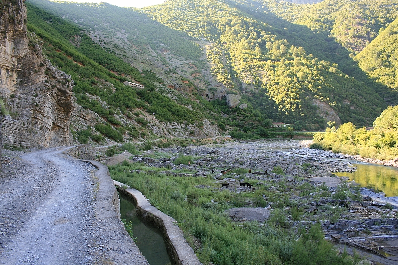 Albania 2008 107